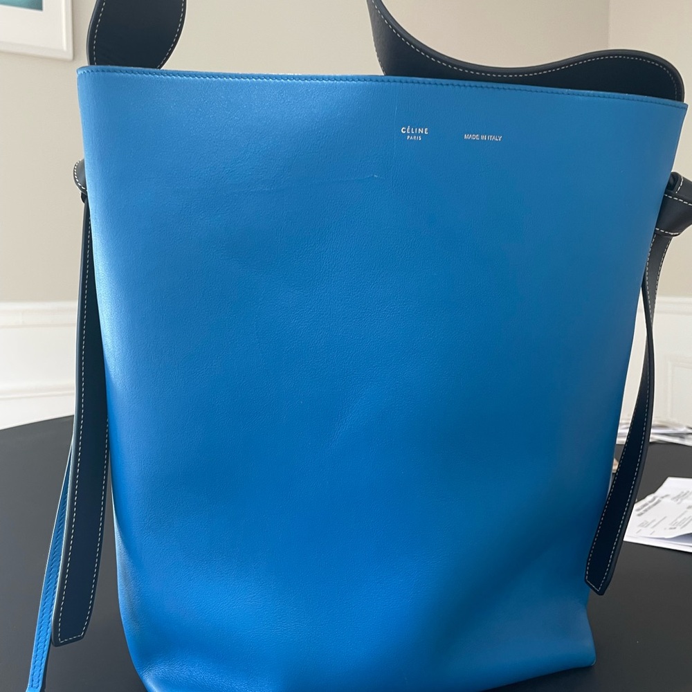 Celine twisted cabas green and blue two tone